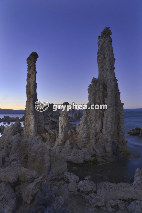 Tufa émergés au bord de Mono Lake (California, USA) - gryphea.org